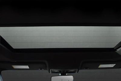 2022 GMC Sierra Limited AT4 Crew Cab 4x4 6.2L V8