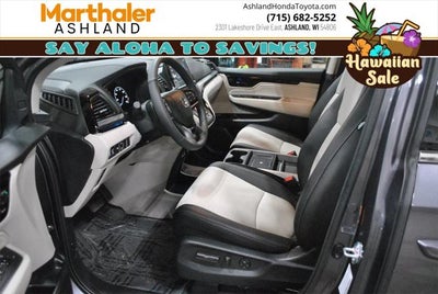 2026 Honda Odyssey Elite